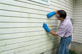 Best Siding Painting and Refinishing  in Whitfield, PA